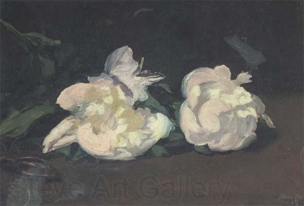 Edouard Manet Branch of White Peonies and Shears (mk40)